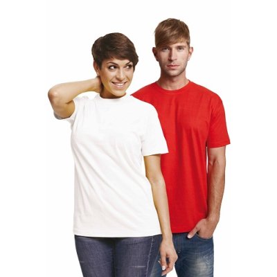 Červa, Tričko pánské, kr. rukáv, TEESTA, barvy, vel. XS - XXXL