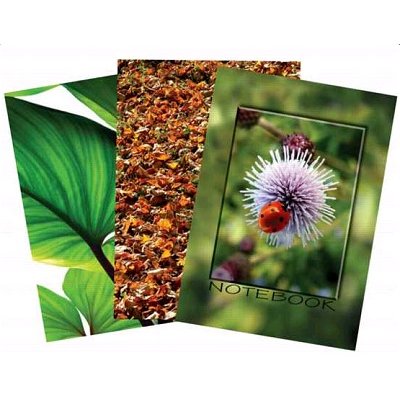 Záznamní kniha A4 čtverečkovaná, 100 listů