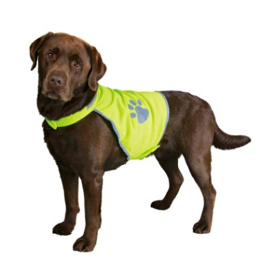 Reflexní elastická vesta pro psy