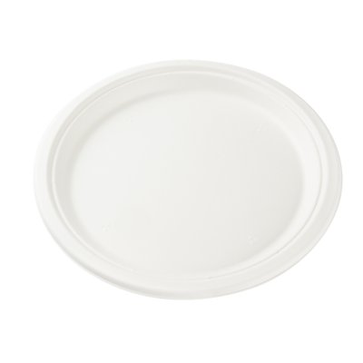 Talíř EKO z cukrové třtiny 23 cm 1-dílný bílý, bal/50 ks,